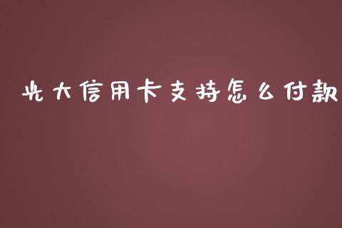 光大信用卡支持怎么付款_https://wap.yjjixie.cn_港股行情_第1张