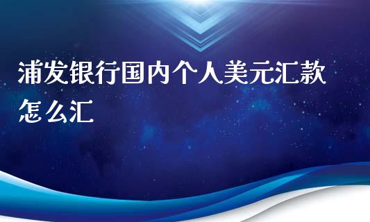 浦发银行国内个人美元汇款怎么汇_https://wap.yjjixie.cn_保险理财_第1张