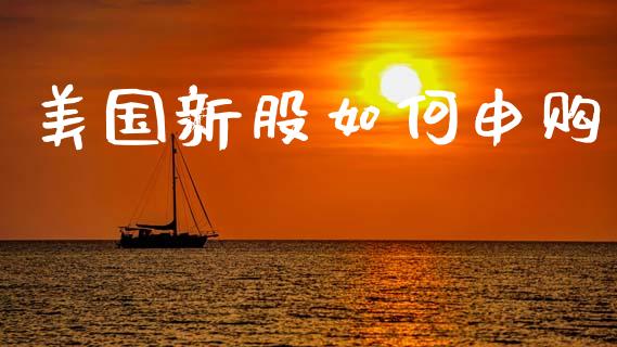 美国新股如何申购_https://wap.yjjixie.cn_港股行情_第1张