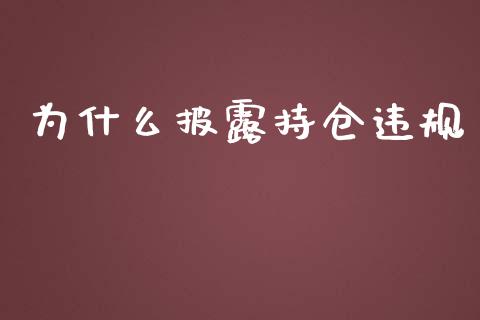 为什么披露持仓违规_https://wap.yjjixie.cn_证券市场_第1张