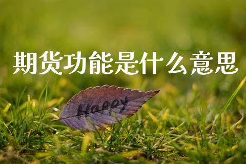 期货功能是什么意思_https://wap.yjjixie.cn_证券市场_第1张