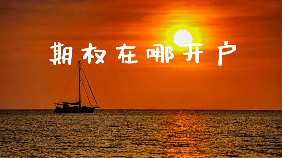 期权在哪开户_https://wap.yjjixie.cn_商业资讯_第1张