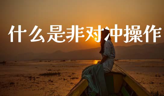什么是非对冲操作_https://wap.yjjixie.cn_商业资讯_第1张
