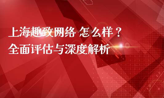 上海趣致网络 怎么样？ 全面评估与深度解析_https://wap.yjjixie.cn_证券市场_第1张