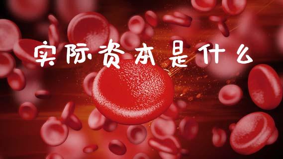 实际资本是什么_https://wap.yjjixie.cn_港股行情_第1张