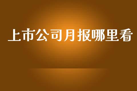 上市公司月报哪里看_https://wap.yjjixie.cn_港股行情_第1张