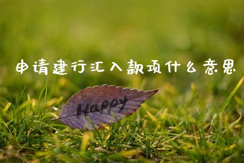 申请建行汇入款项什么意思_https://wap.yjjixie.cn_保险理财_第1张