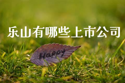 乐山有哪些上市公司_https://wap.yjjixie.cn_证券市场_第1张