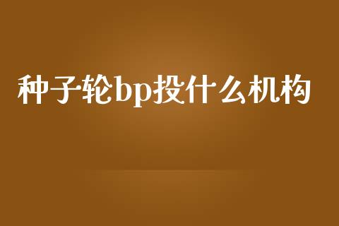 种子轮bp投什么机构_https://wap.yjjixie.cn_证券市场_第1张
