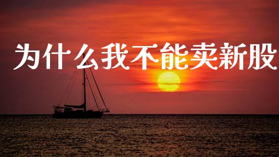 为什么我不能卖新股_https://wap.yjjixie.cn_港股行情_第1张