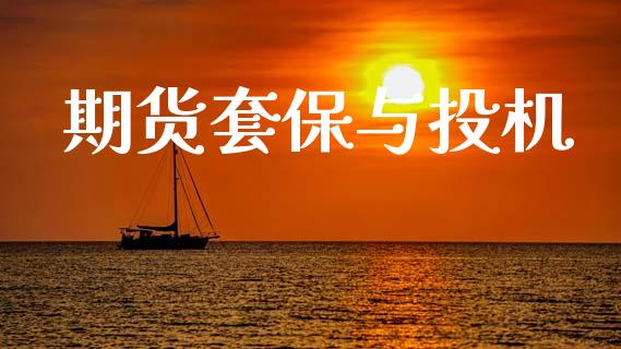 期货套保与投机_https://wap.yjjixie.cn_证券市场_第1张