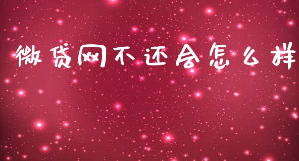 微贷网不还会怎么样_https://wap.yjjixie.cn_保险理财_第1张