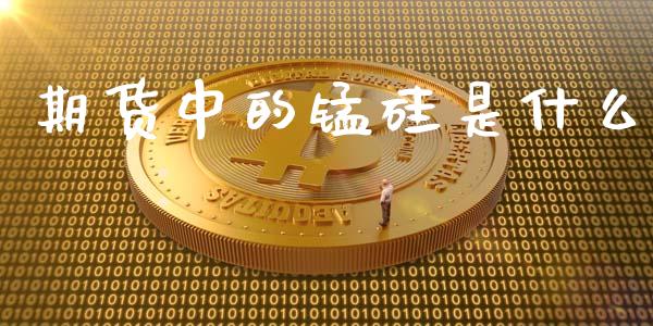 期货中的锰硅是什么_https://wap.yjjixie.cn_保险理财_第1张