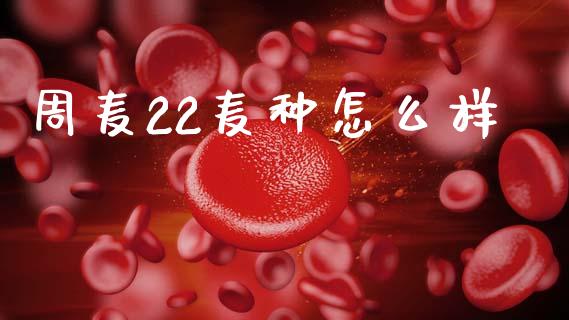 周麦22麦种怎么样_https://wap.yjjixie.cn_港股行情_第1张