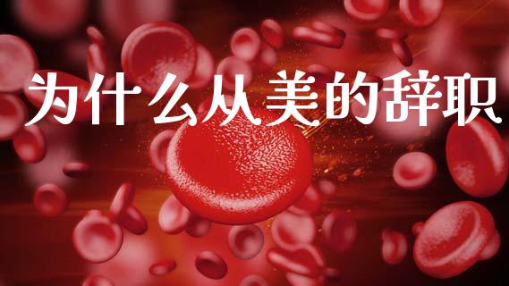 为什么从美的辞职_https://wap.yjjixie.cn_保险理财_第1张