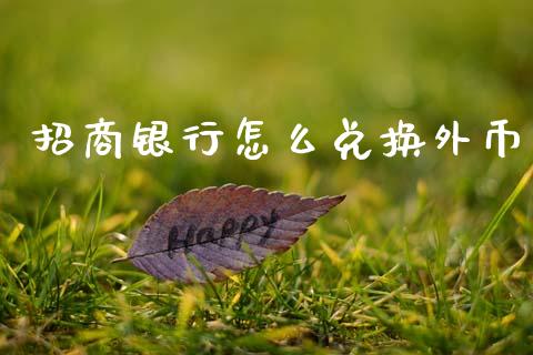 招商银行怎么兑换外币_https://wap.yjjixie.cn_港股行情_第1张
