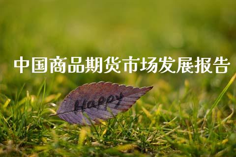 中国商品期货市场发展报告_https://wap.yjjixie.cn_证券市场_第1张