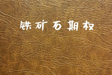铁矿石期权_https://wap.yjjixie.cn_商业资讯_第1张
