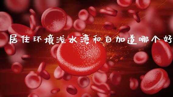 居住环境浅水湾和白加道哪个好_https://wap.yjjixie.cn_商业资讯_第1张