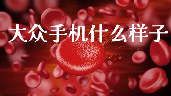大众手机什么样子_https://wap.yjjixie.cn_商业资讯_第1张