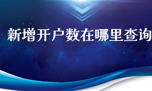 新增开户数在哪里查询_https://wap.yjjixie.cn_保险理财_第1张