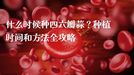 什么时候种四六瓣蒜？种植时间和方法全攻略_https://wap.yjjixie.cn_保险理财_第1张