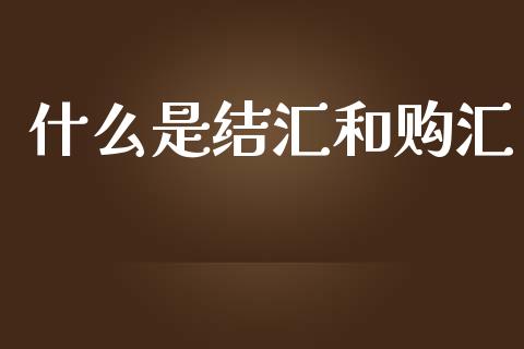 什么是结汇和购汇_https://wap.yjjixie.cn_证券市场_第1张