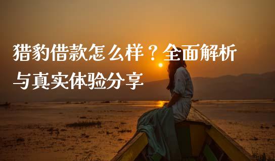 猎豹借款怎么样？全面解析与真实体验分享_https://wap.yjjixie.cn_商业资讯_第1张