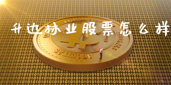 升达林业股票怎么样_https://wap.yjjixie.cn_保险理财_第1张