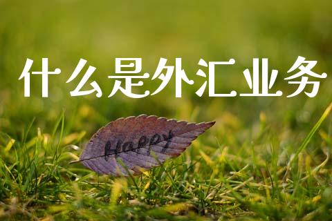 什么是外汇业务_https://wap.yjjixie.cn_保险理财_第1张
