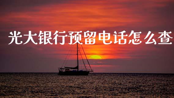 光大银行预留电话怎么查_https://wap.yjjixie.cn_保险理财_第1张