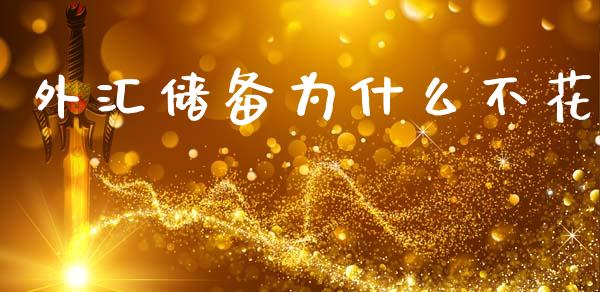 外汇储备为什么不花_https://wap.yjjixie.cn_商业资讯_第1张