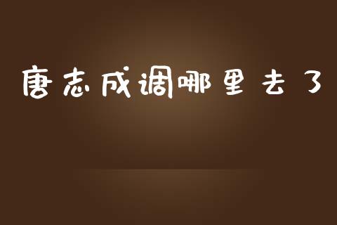 唐志成调哪里去了_https://wap.yjjixie.cn_商业资讯_第1张