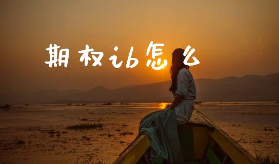 期权ib怎么_https://wap.yjjixie.cn_港股行情_第1张