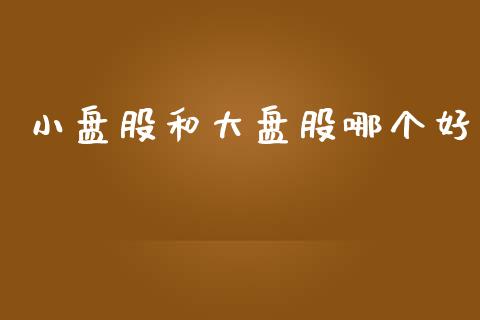 小盘股和大盘股哪个好_https://wap.yjjixie.cn_保险理财_第1张