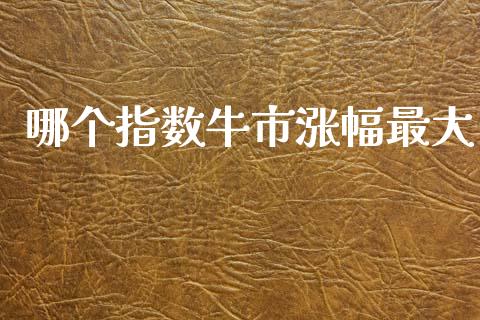 哪个指数牛市涨幅最大_https://wap.yjjixie.cn_证券市场_第1张