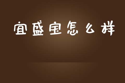 宜盛宝怎么样_https://wap.yjjixie.cn_证券市场_第1张