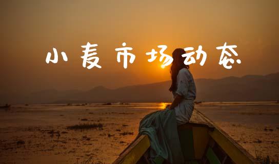 小麦市场动态_https://wap.yjjixie.cn_港股行情_第1张