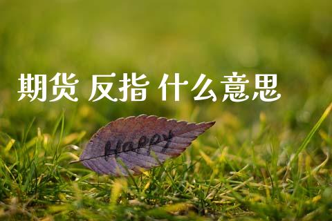 期货 反指 什么意思_https://wap.yjjixie.cn_保险理财_第1张