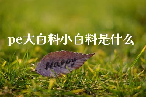 pe大白料小白料是什么_https://wap.yjjixie.cn_港股行情_第1张
