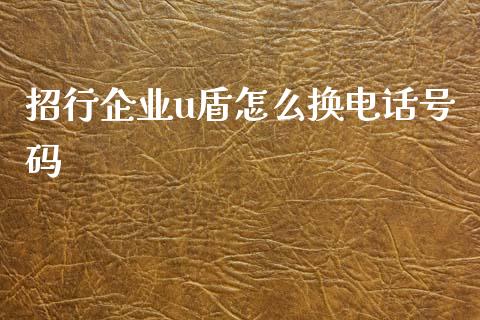 招行企业u盾怎么换电话号码_https://wap.yjjixie.cn_商业资讯_第1张