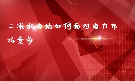 二滩水电站如何面对电力市场竞争_https://wap.yjjixie.cn_证券市场_第1张