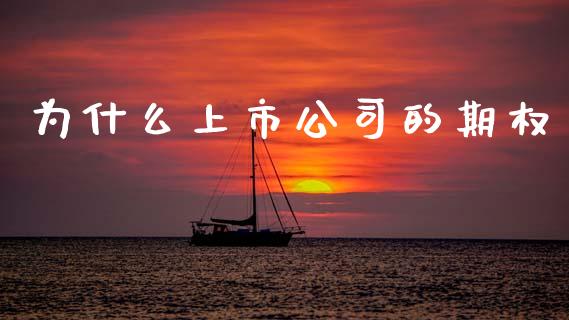 为什么上市公司的期权_https://wap.yjjixie.cn_保险理财_第1张