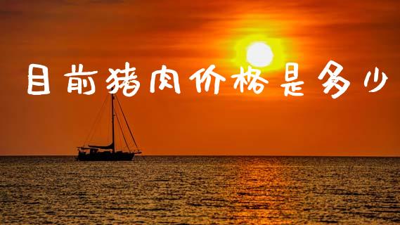 目前猪肉价格是多少_https://wap.yjjixie.cn_证券市场_第1张