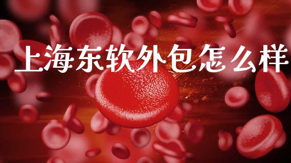 上海东软外包怎么样_https://wap.yjjixie.cn_商业资讯_第1张