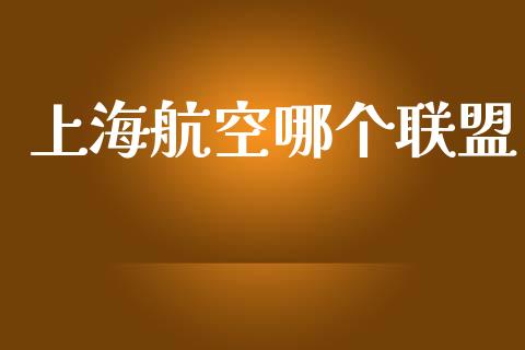 上海航空哪个联盟_https://wap.yjjixie.cn_商业资讯_第1张