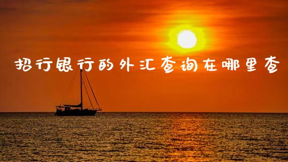 招行银行的外汇查询在哪里查_https://wap.yjjixie.cn_保险理财_第1张