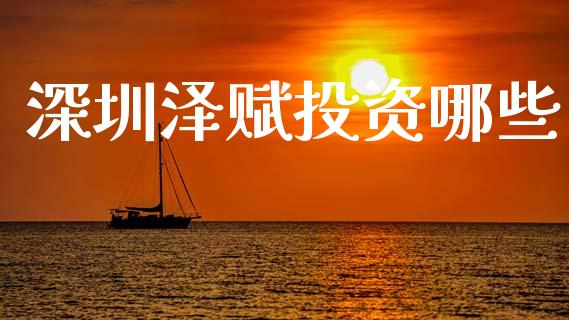 深圳泽赋投资哪些_https://wap.yjjixie.cn_保险理财_第1张