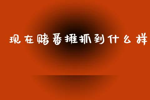 现在赌番摊抓到什么样_https://wap.yjjixie.cn_商业资讯_第1张