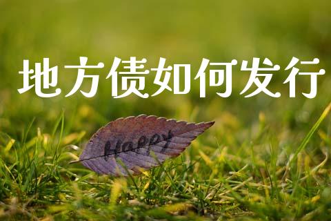 地方债如何发行_https://wap.yjjixie.cn_保险理财_第1张